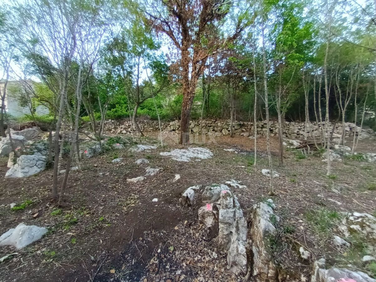 LUPOGLAV