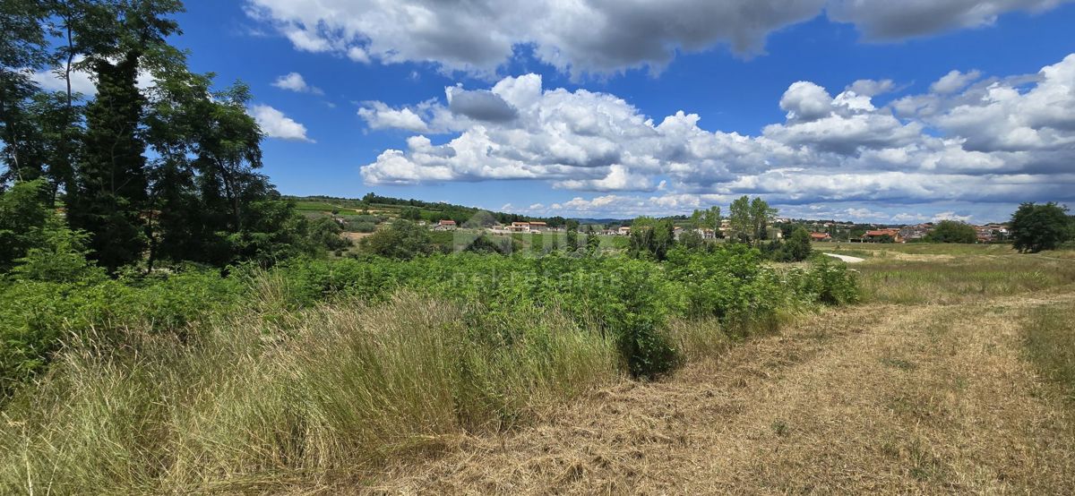 VIŽINADA