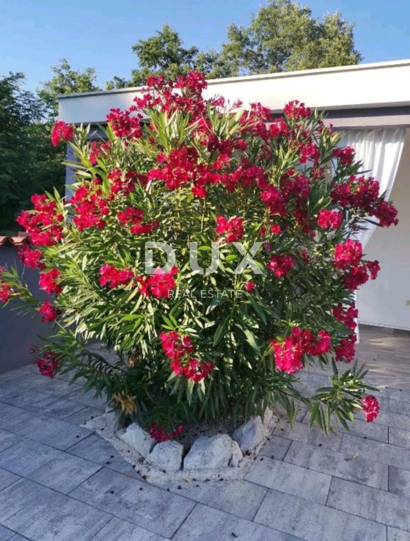 ČAMBARELIĆI