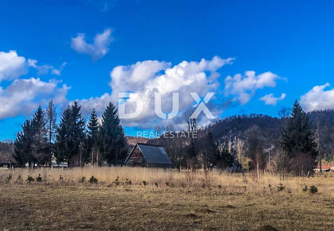 LIČ