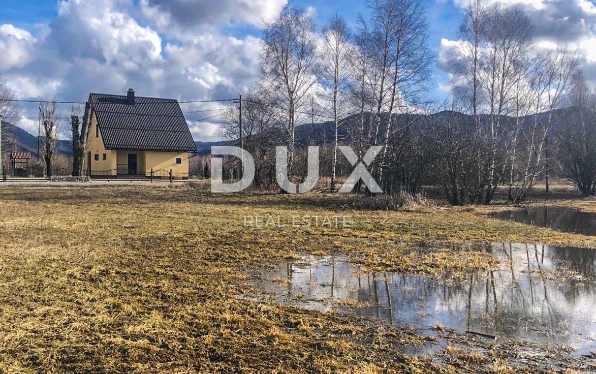 LIČ