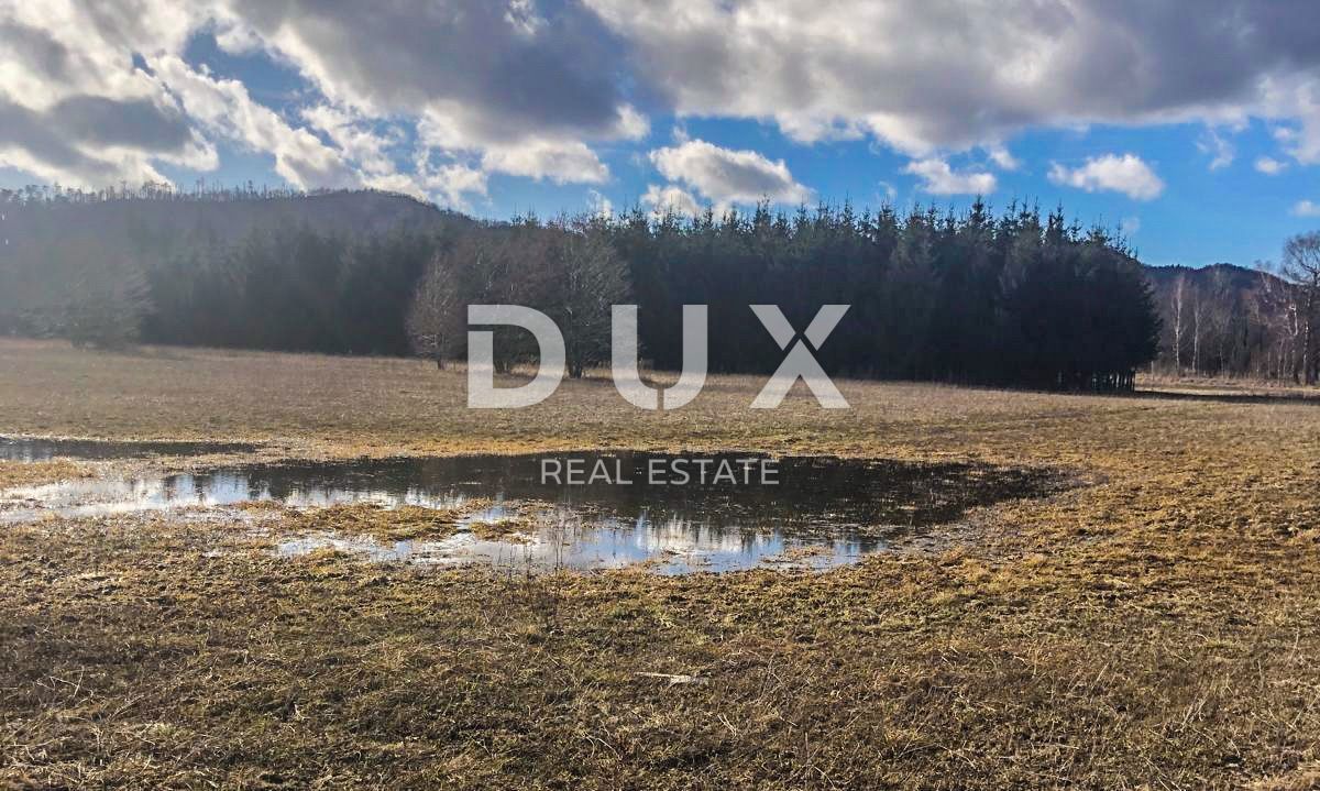 LIČ