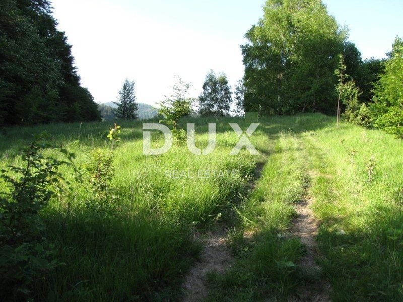 FUŽINE
