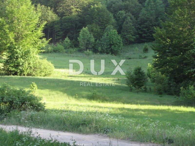 FUŽINE