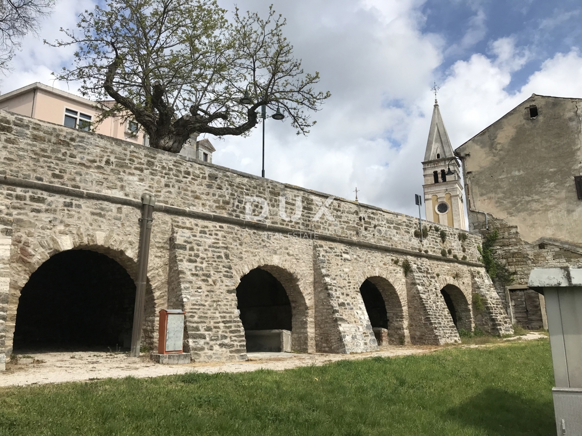 image 24