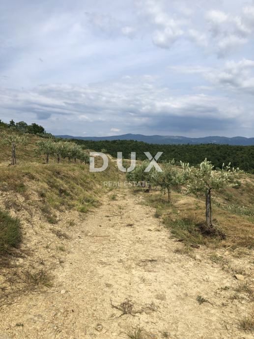 DRAGUĆ