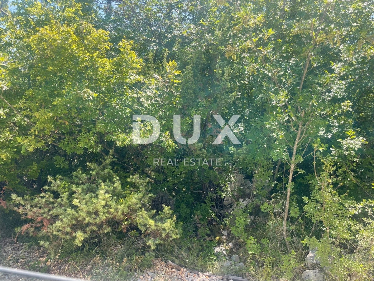 SUŽAN
