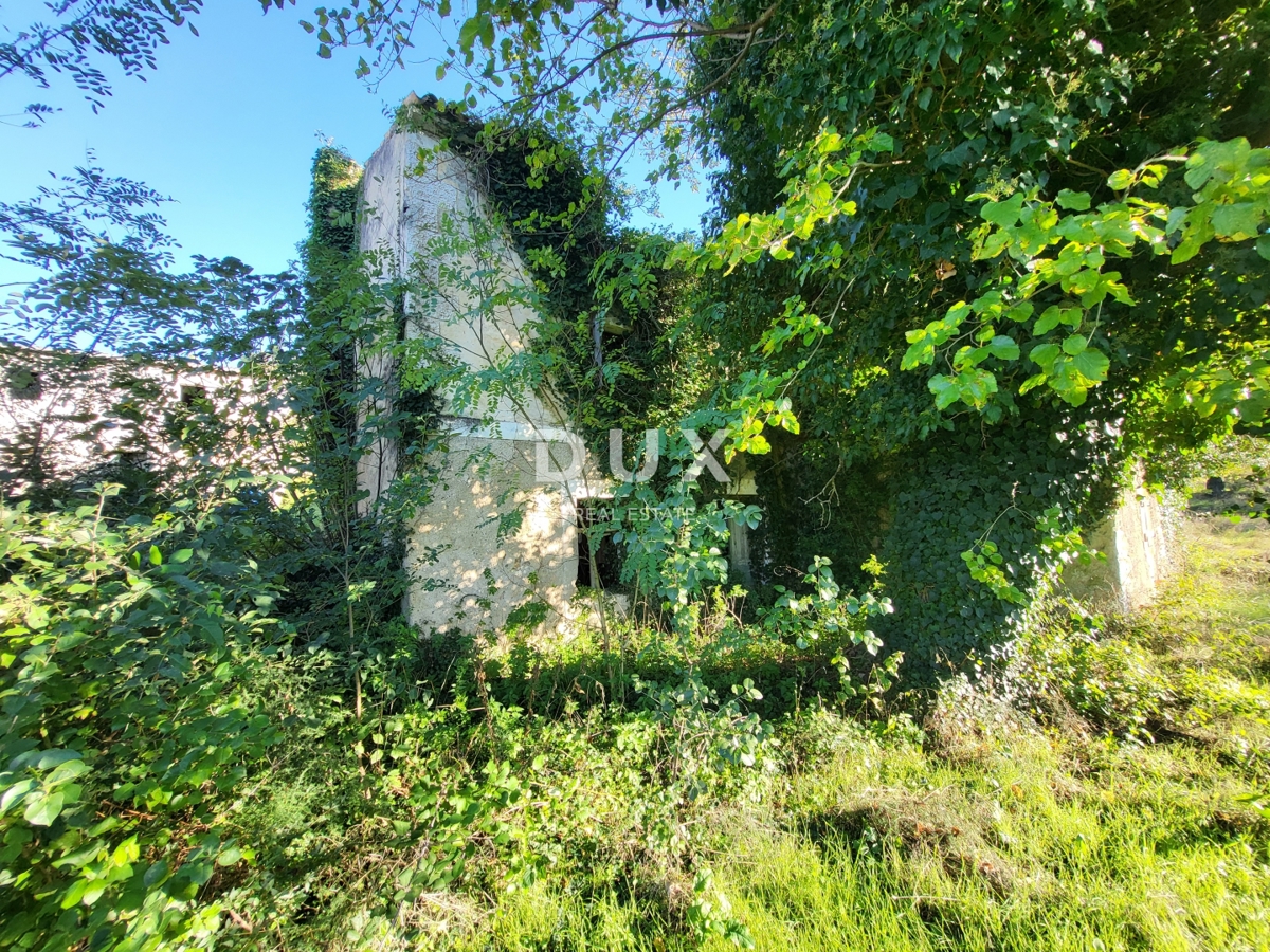 BOLJUNSKO POLJE