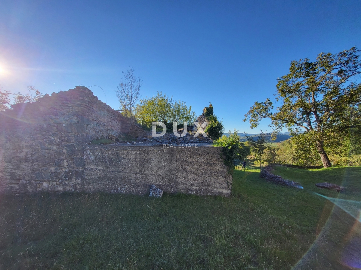 BOLJUNSKO POLJE