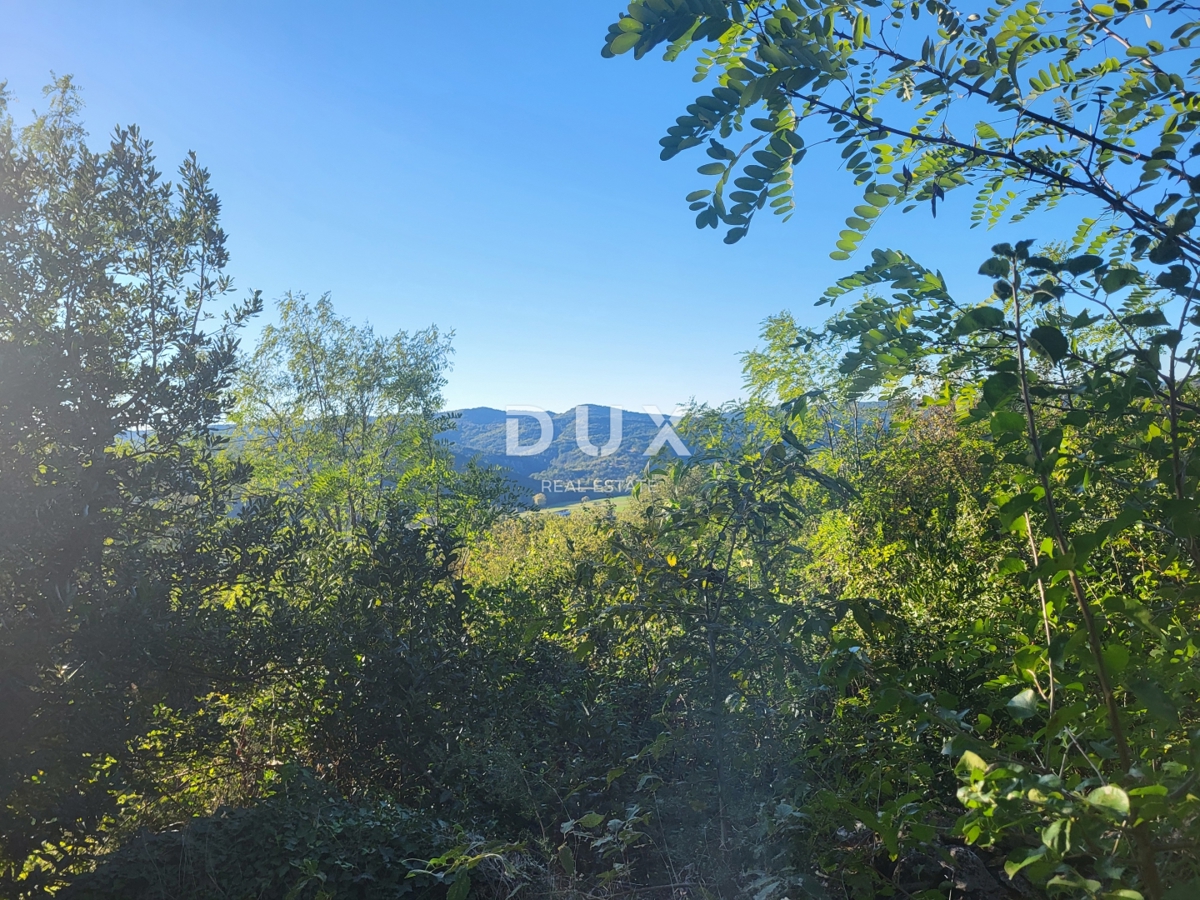 BOLJUNSKO POLJE