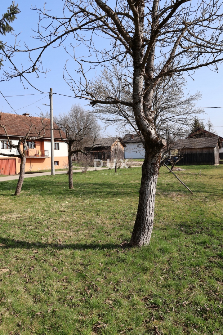 image 67