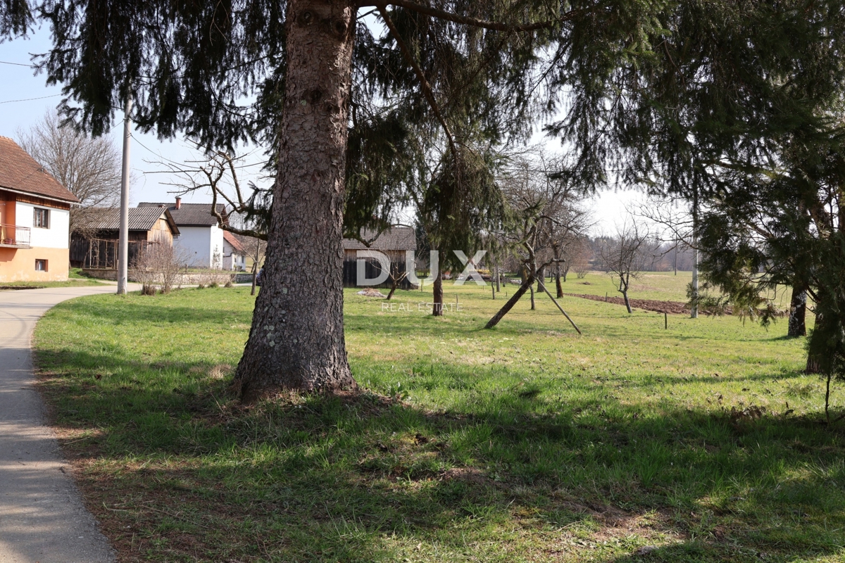 image 63