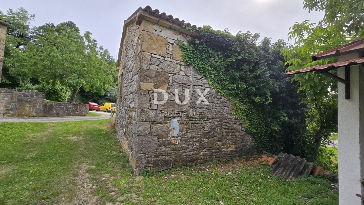 image 14