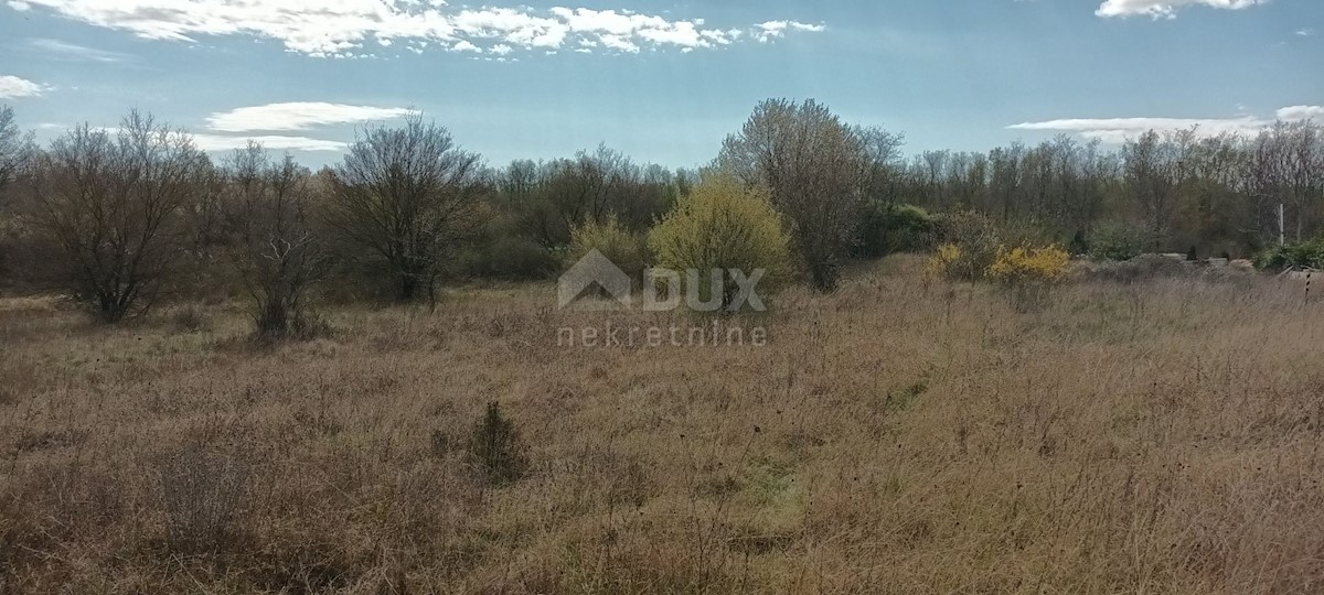 ŽBANDAJ