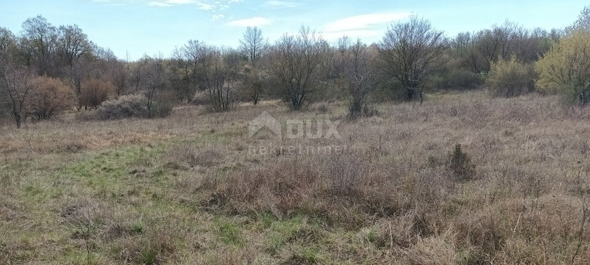 ŽBANDAJ