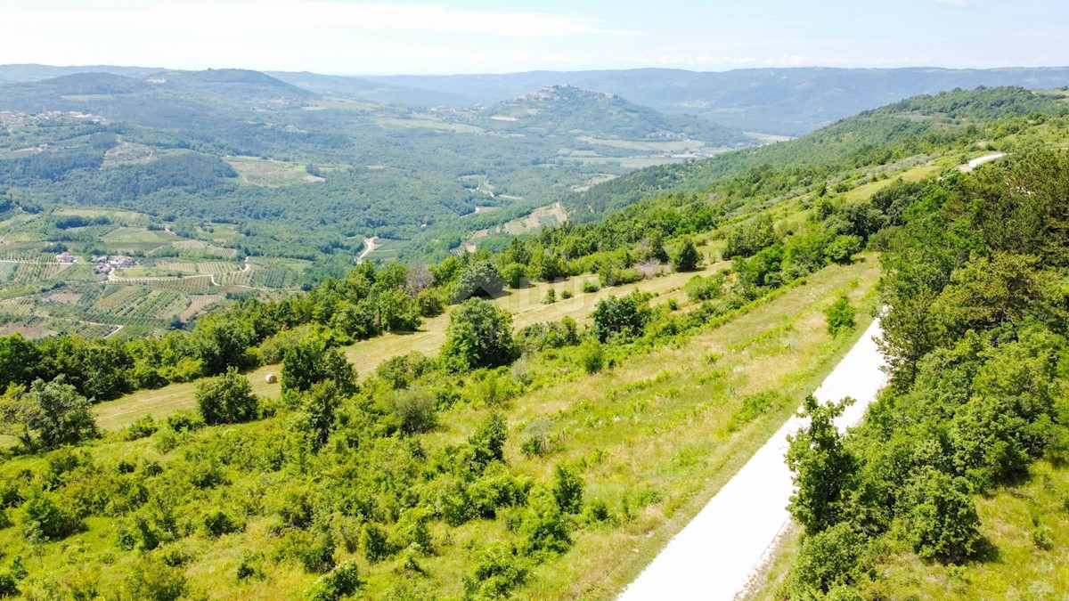 MOTOVUN