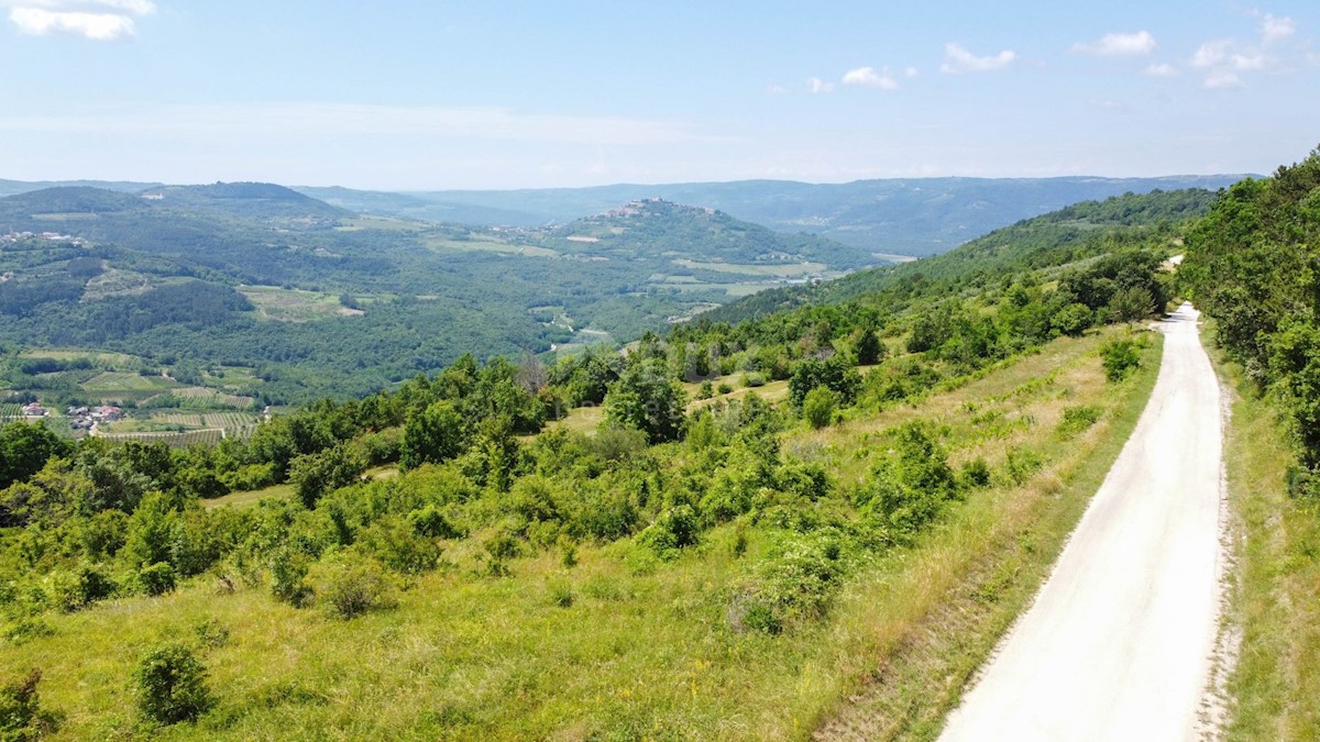 MOTOVUN