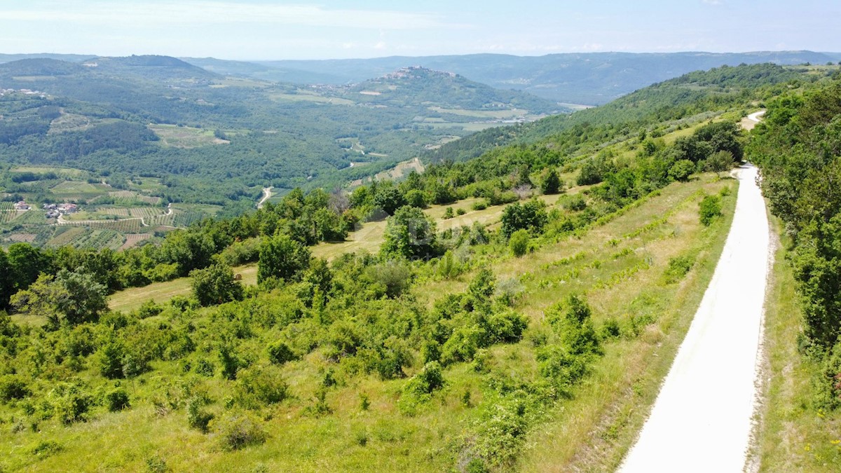 MOTOVUN
