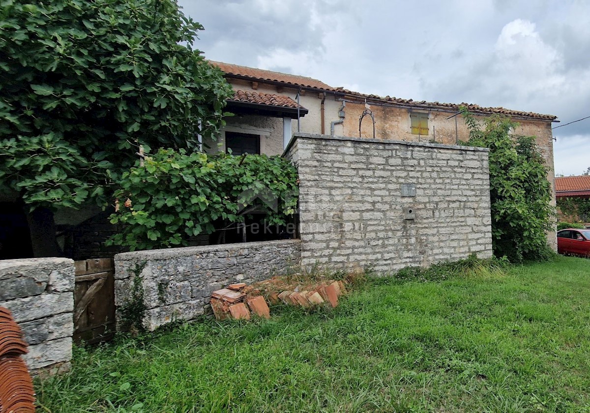 ŽMINJ