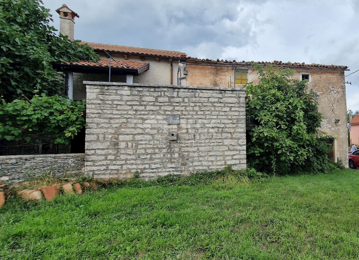 ŽMINJ