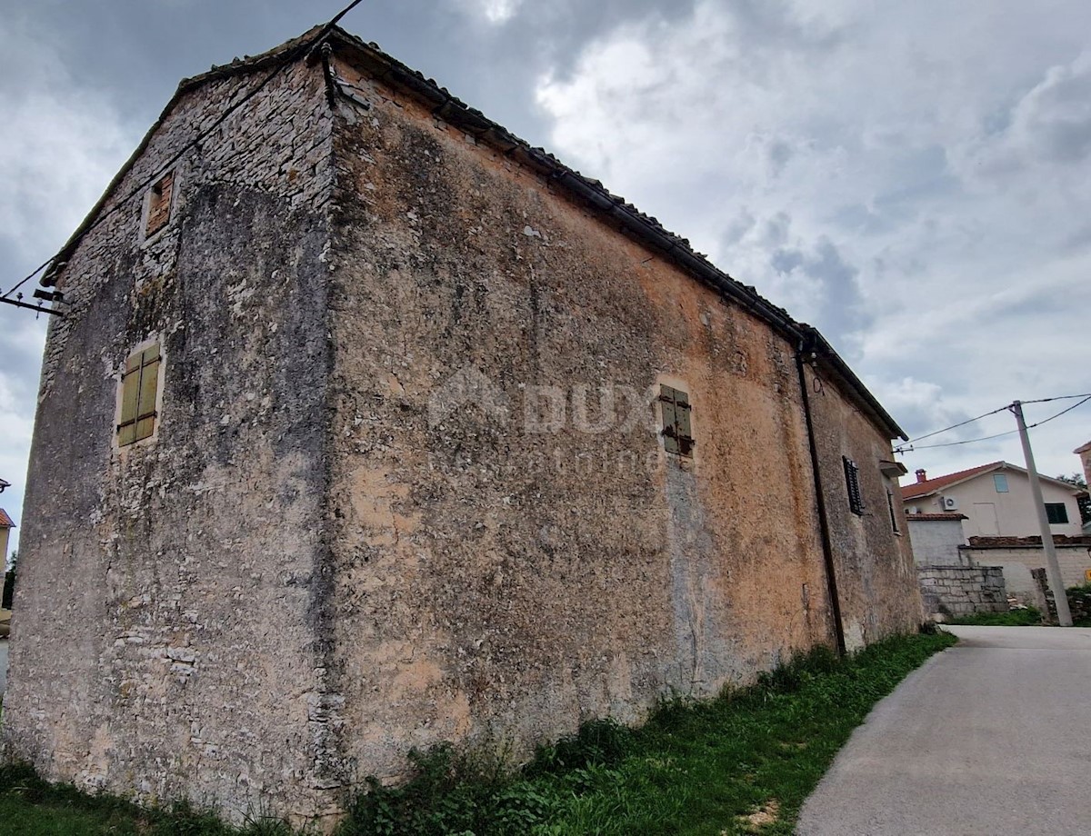 ŽMINJ