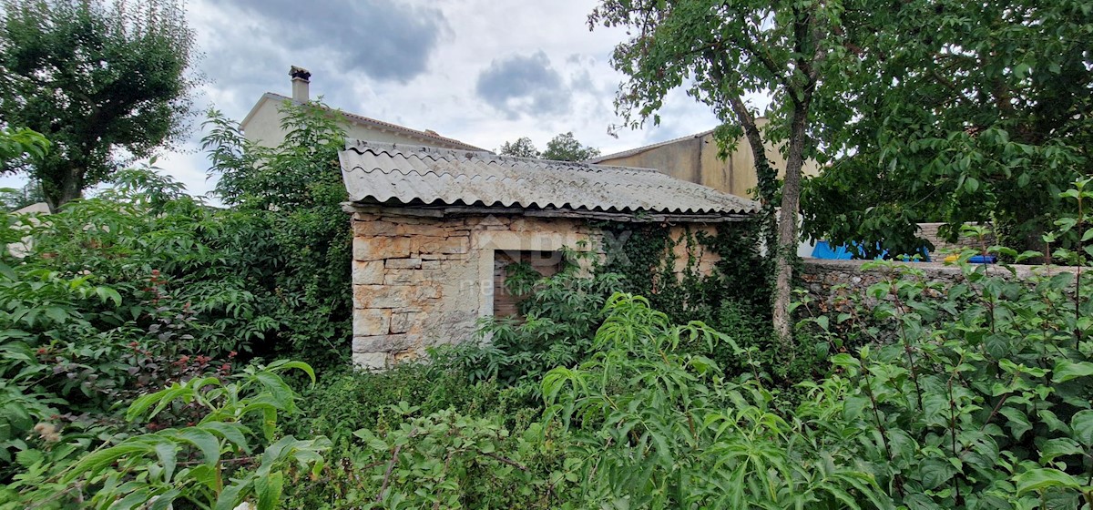 ŽMINJ