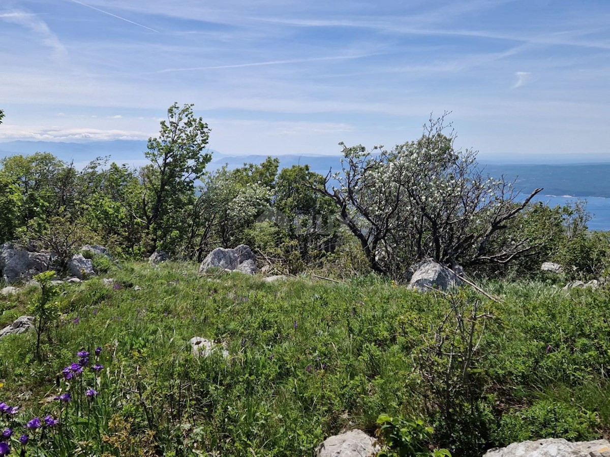 CRIKVENICA
