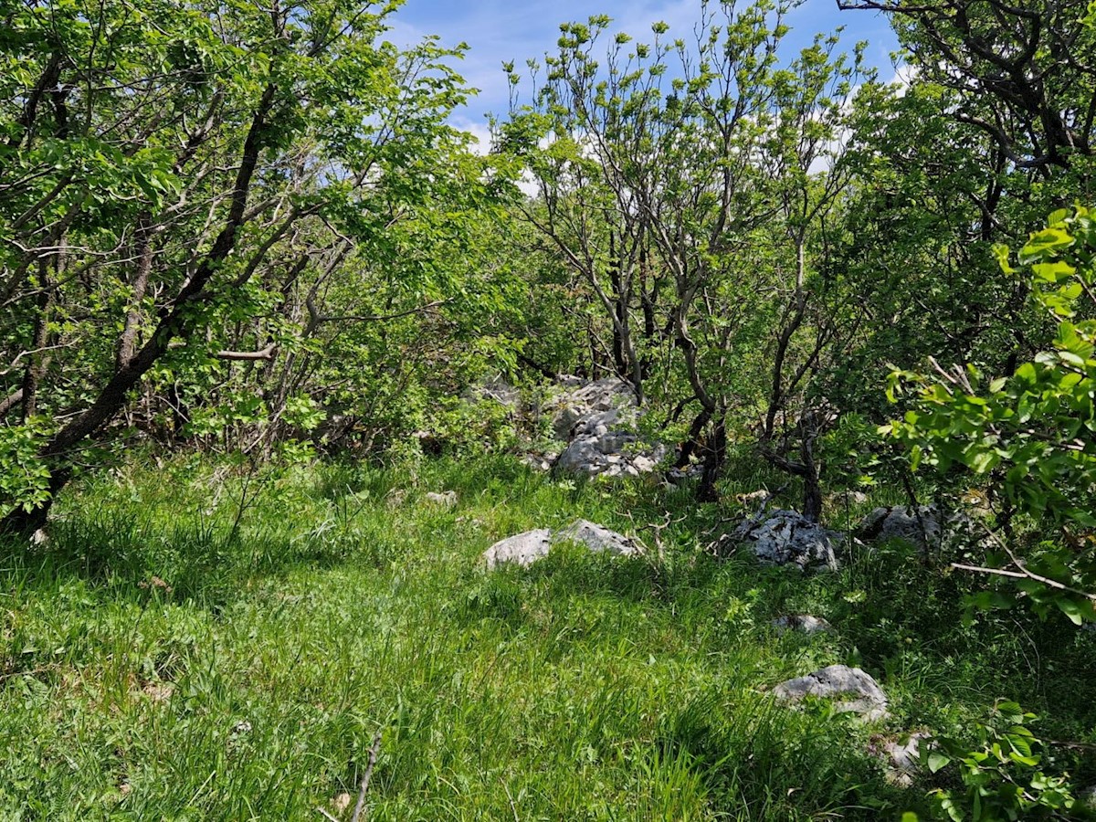CRIKVENICA