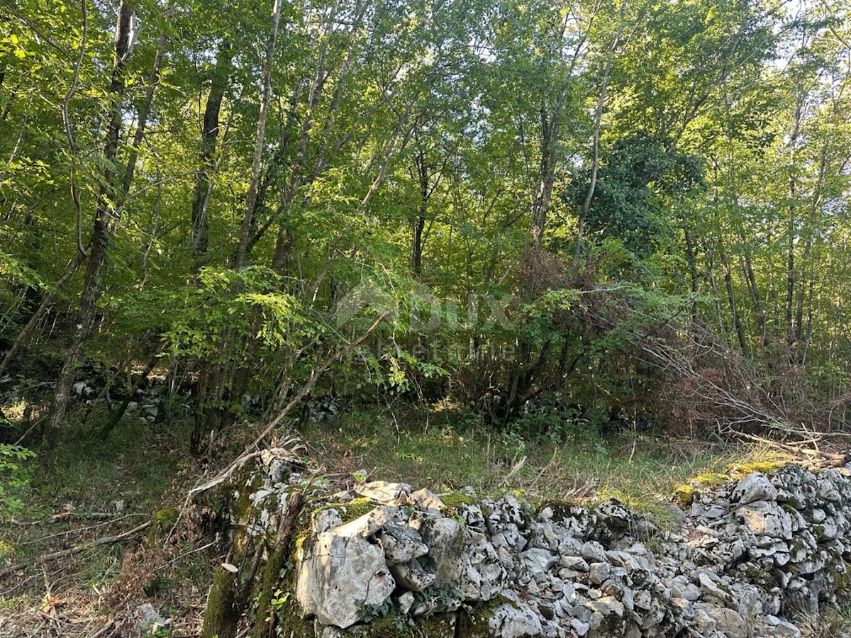 KASTAV