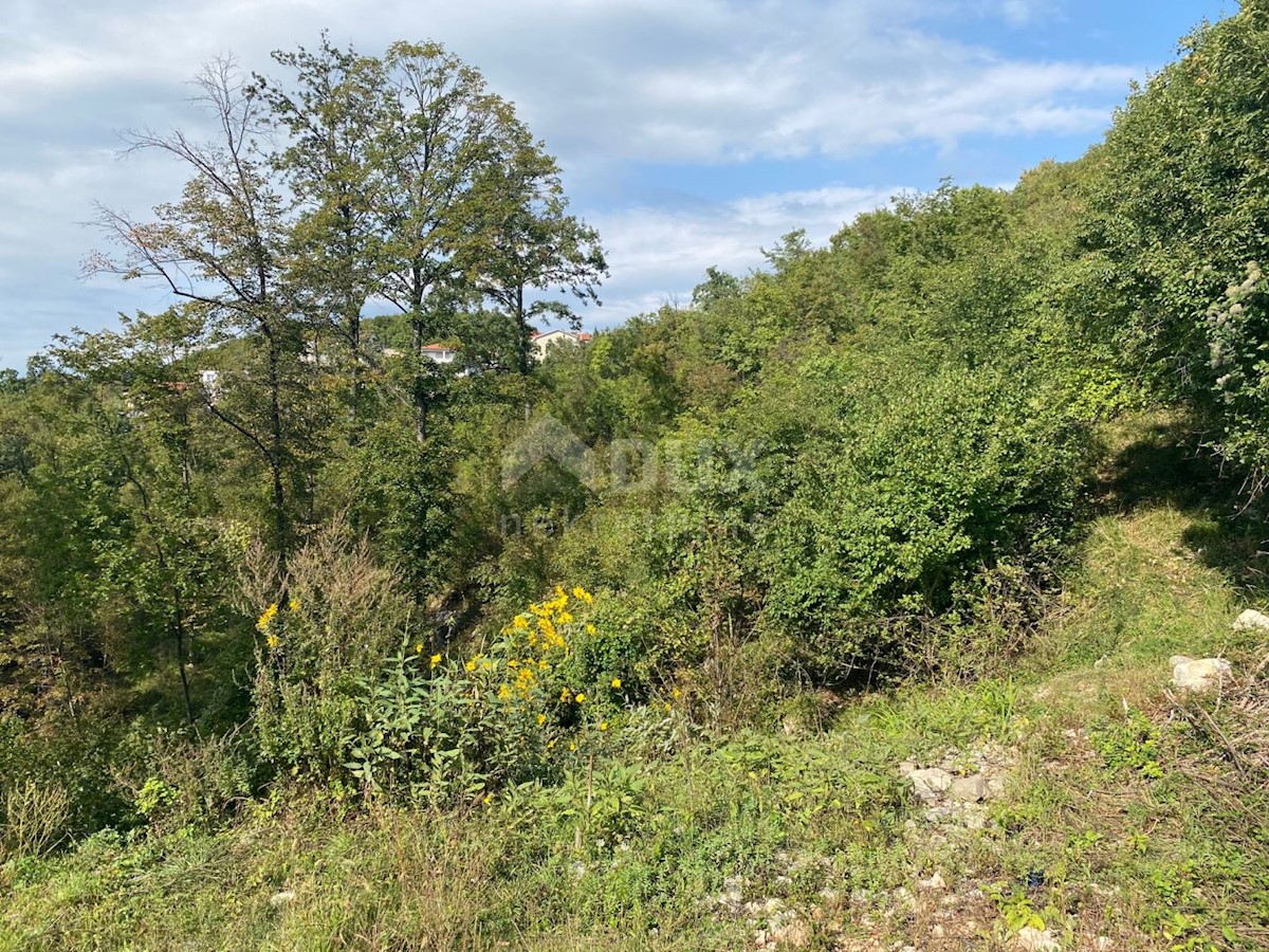 SARŠONI