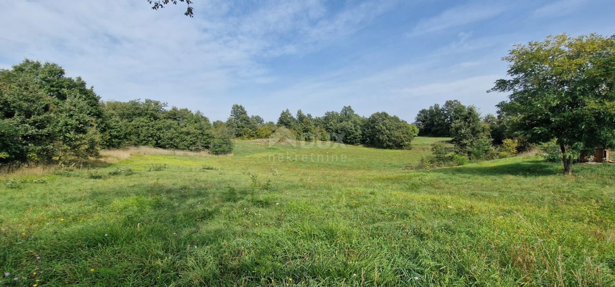 ŽMINJ