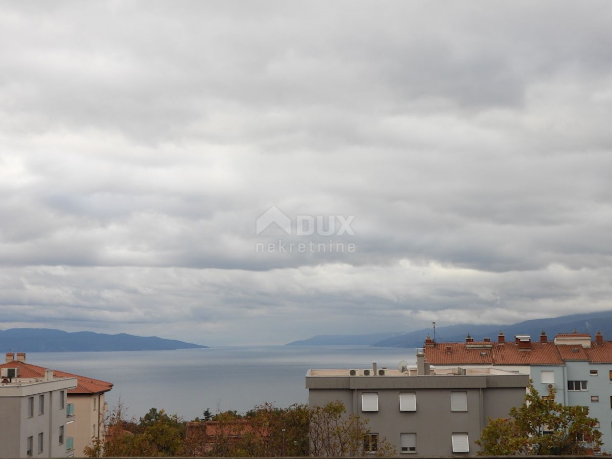SRDOČI