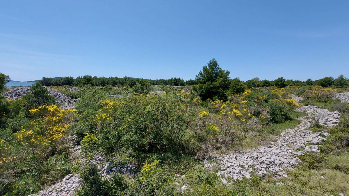 VODICE