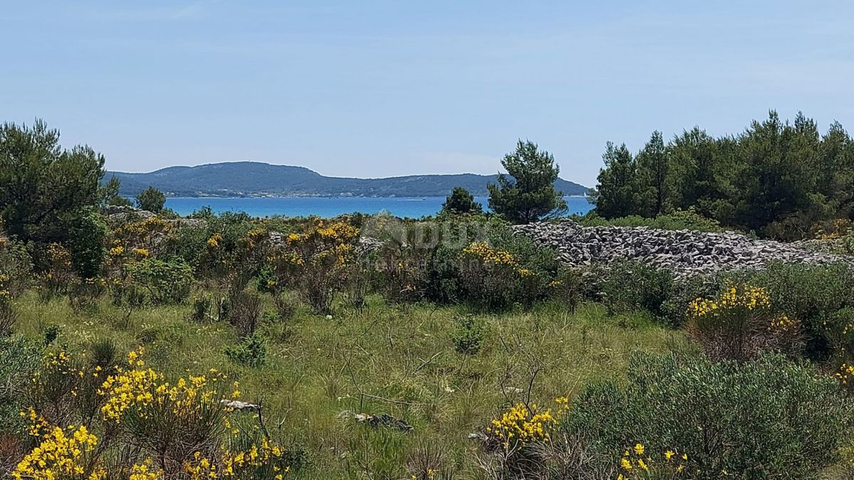 VODICE