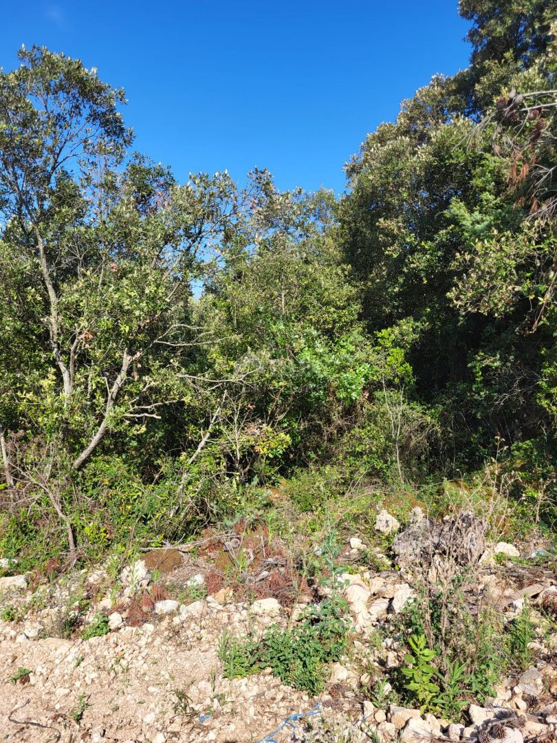 NEVIĐANE