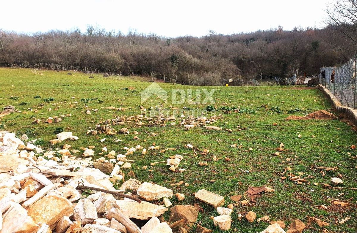 RADOŠI KOD VIŠNJANA