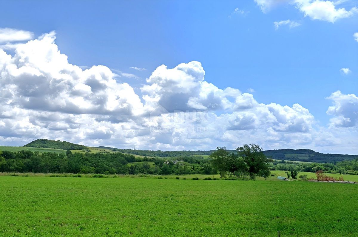 BUJE