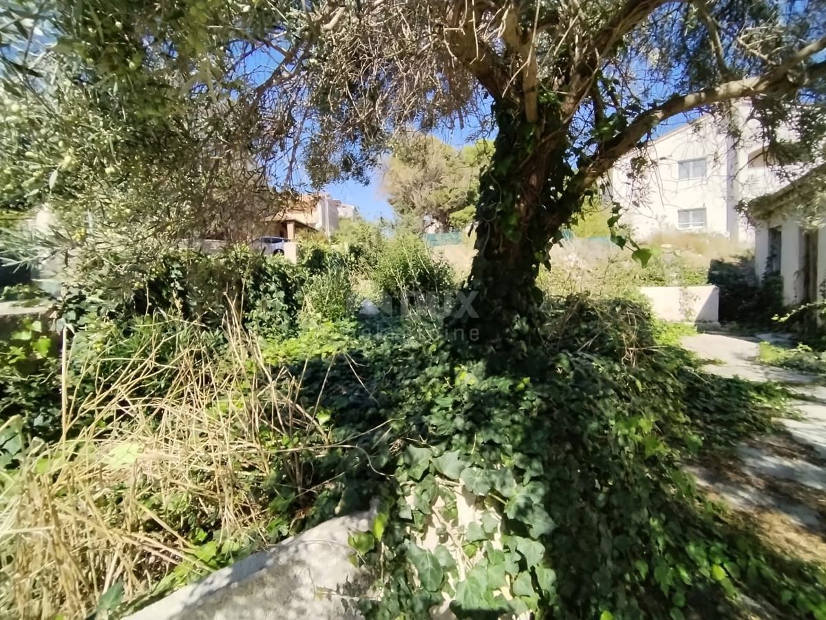 LIŽNJAN