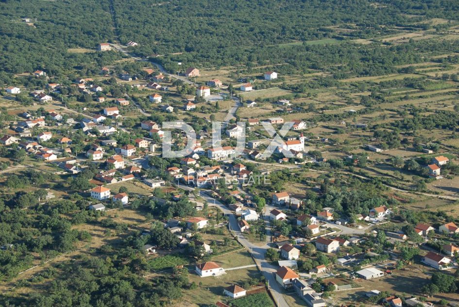 POLJICA
