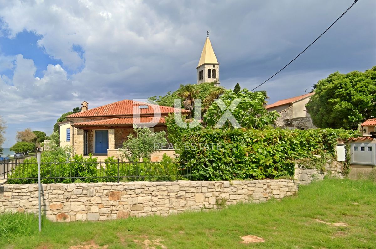UMAG