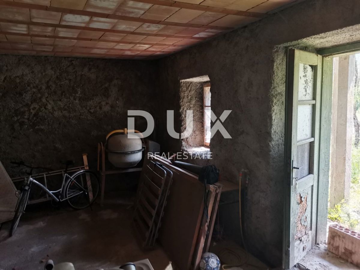 LIČ