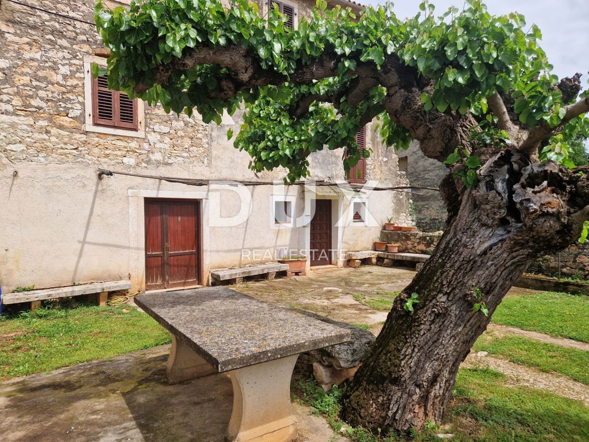 NOVIGRAD