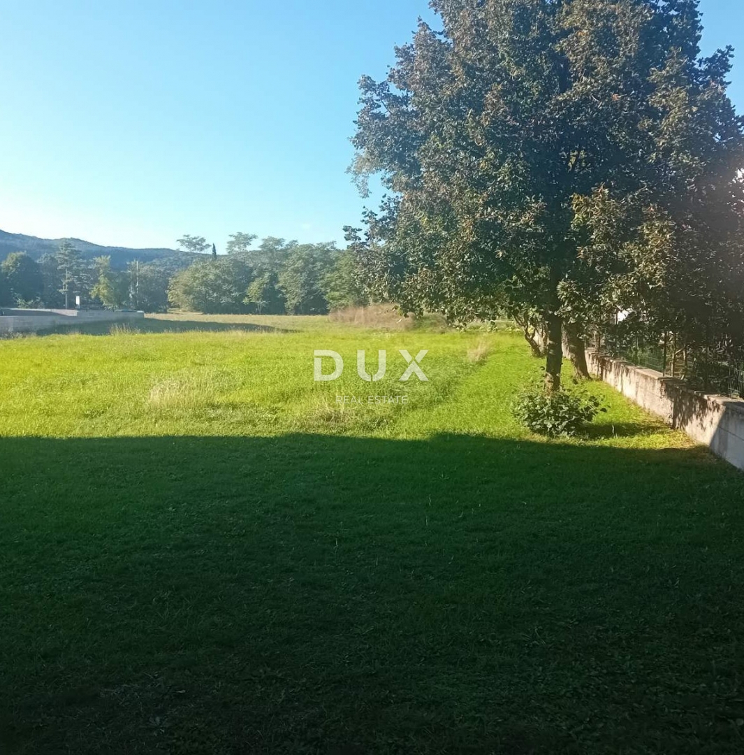 DRAŽICE