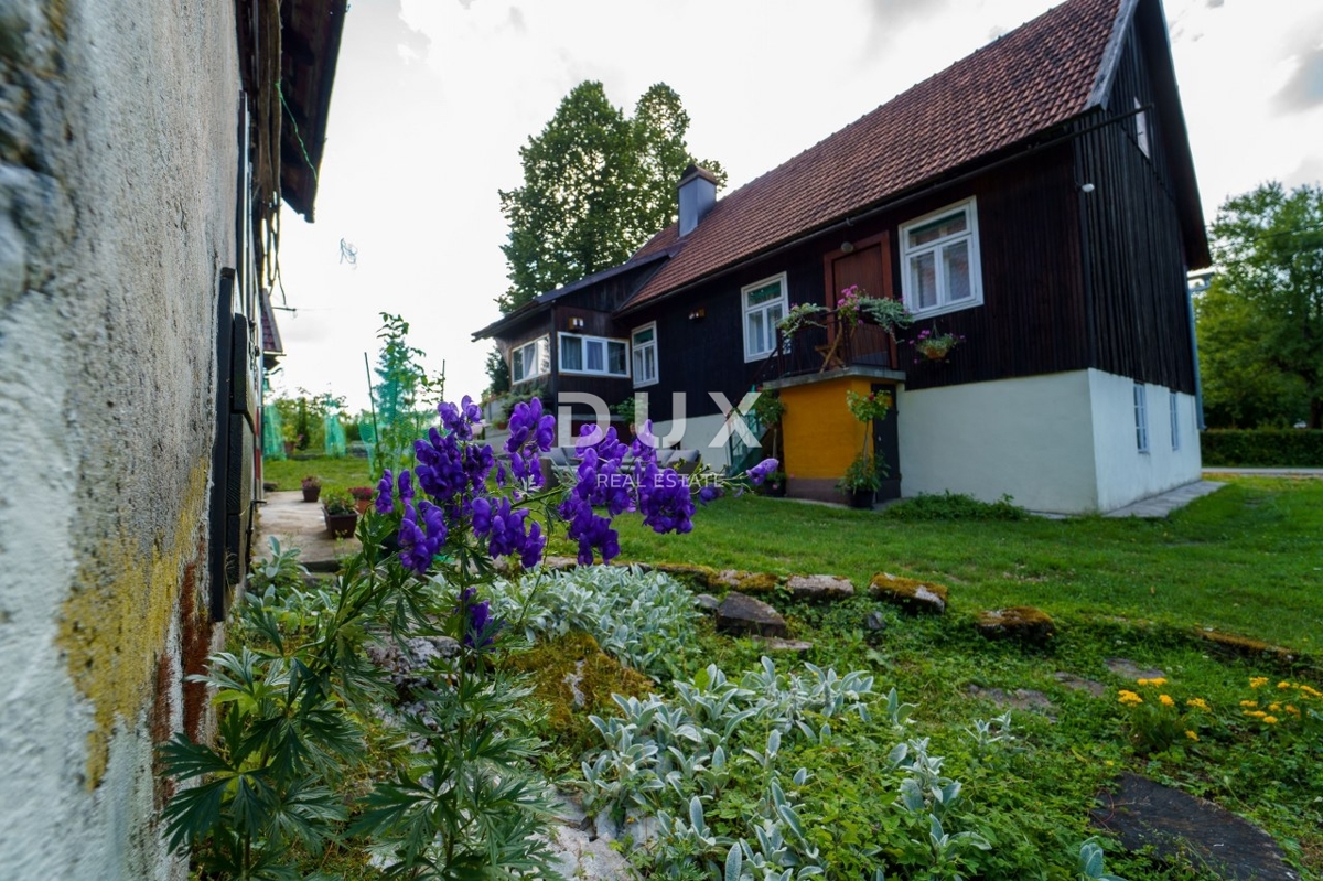 LUČICE