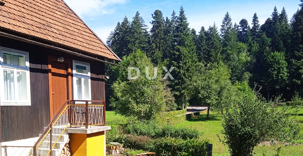LUČICE