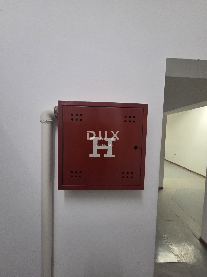 image 42