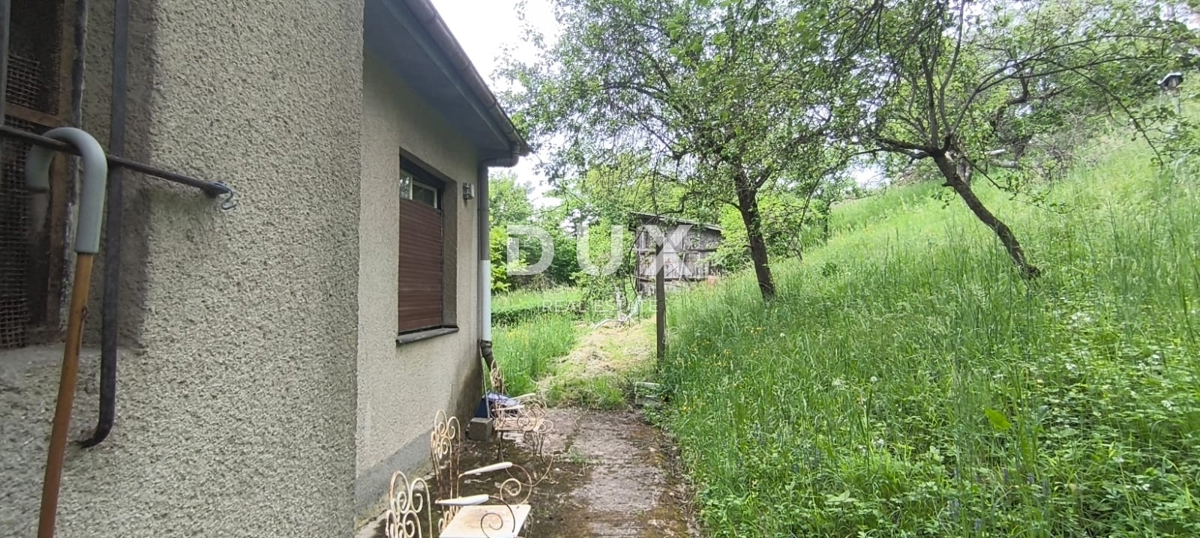 image 37