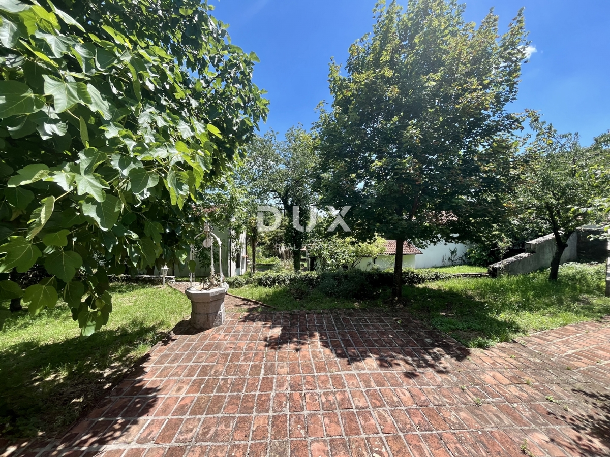image 31