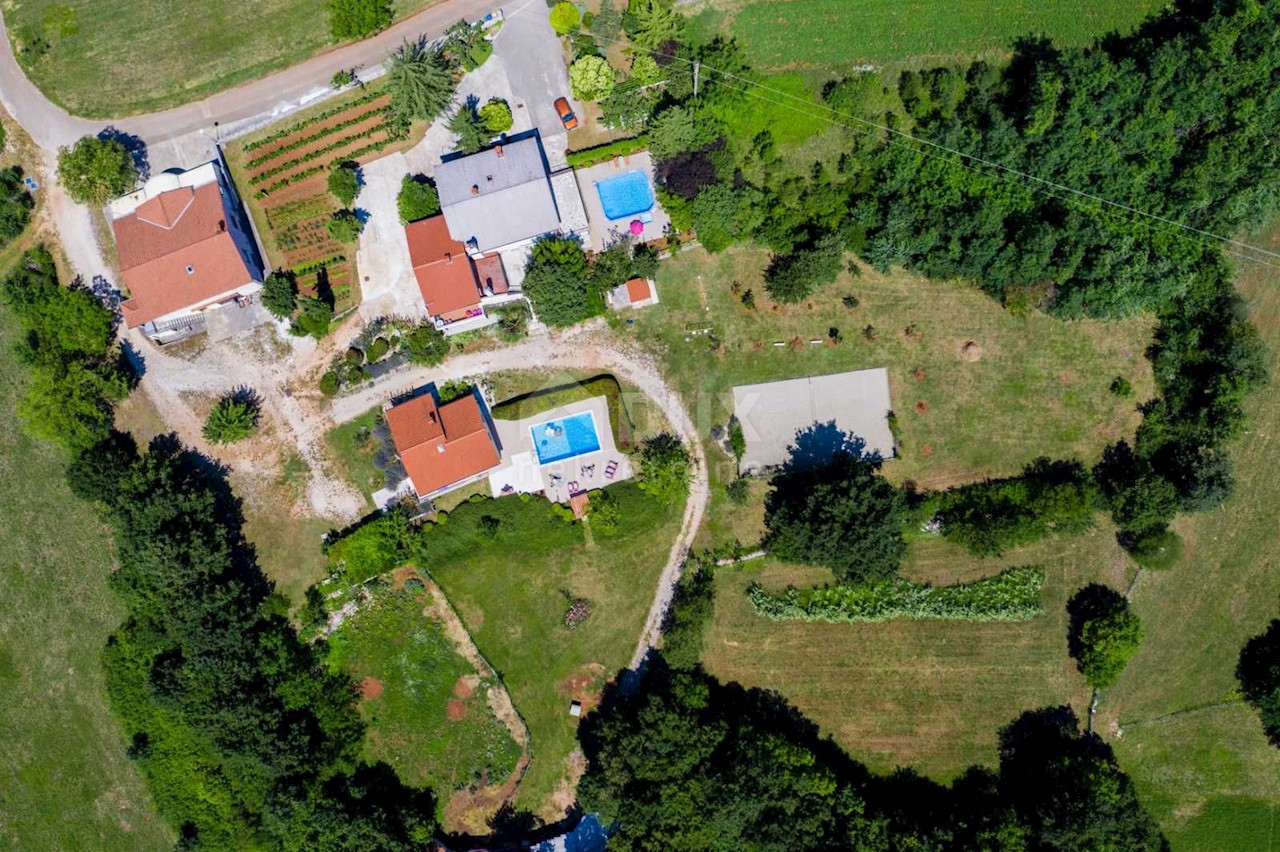 KRIŽANCI