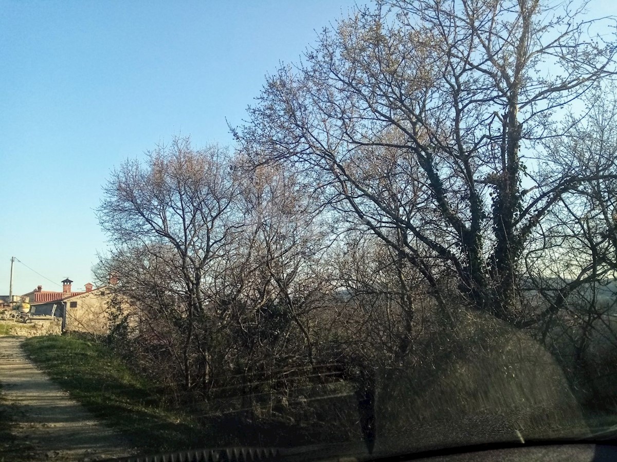 LABIN